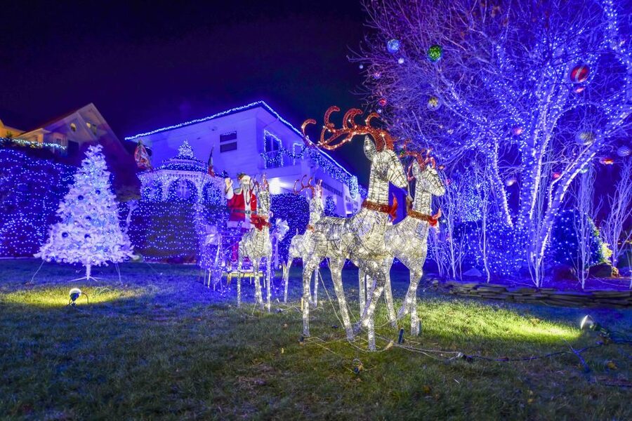 From Manhattan: 4-Hour Christmas Lights Luxury Bus Tour - Rockefeller Center Christmas tree: the finale you should plan around