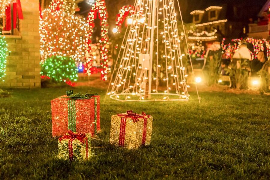 From Manhattan: Dyker Heights Lights & Skyline Tour - The bus ride: how the tour earns its keep before you even reach the lights