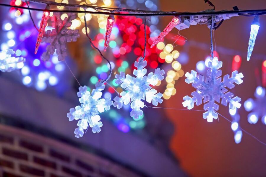 From Manhattan: Dyker Heights Lights & Skyline Tour - Who this tour is best for (and who might prefer DIY)