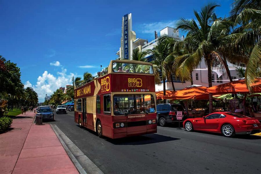 From Miami: Everglades, Wildlife Show, & Hop-on Hop-off Tour - Who this tour suits best