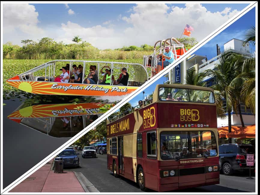 From Miami: Everglades, Wildlife Show, & Hop-on Hop-off Tour - The Big Bus part: 24 hours of Miami at your speed