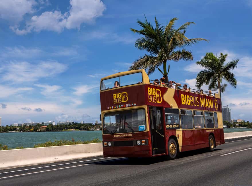 From Miami: Everglades, Wildlife Show, & Hop-on Hop-off Tour - Price and value: where the $79 per person really goes