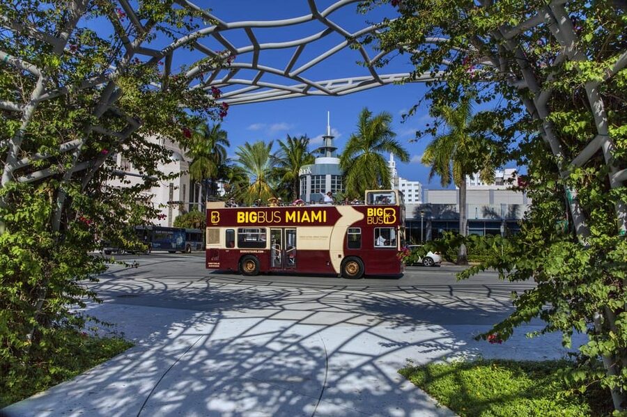 From Miami: Everglades, Wildlife Show, & Hop-on Hop-off Tour - Accessibility and comfort: what’s covered