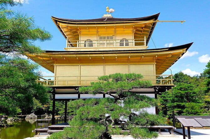 From Osaka or Kyoto: Kyoto and Nara 1-Day Bus Tour - A One-Bus Plan That Saves You From Kyoto Math