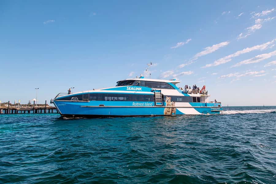 From Perth or Fremantle: Rottnest Island Ferry and Bus Tour - Rottnest Free Time: Beaches, Quokkas, and Choosing Your Own Pace