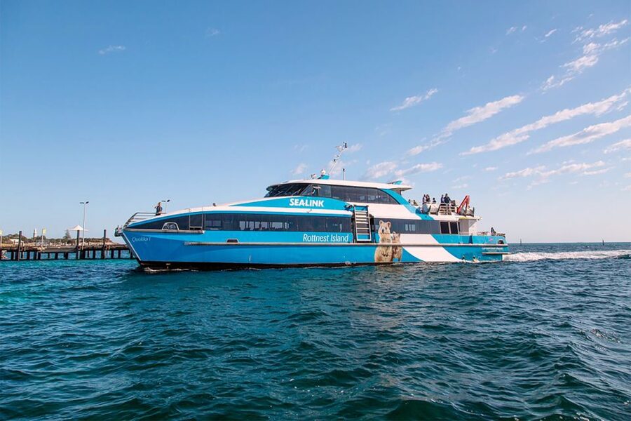 From Perth or Fremantle: Rottnest Island Ferry and Bus Tour - Timing, Lines, and Where People Trip Up