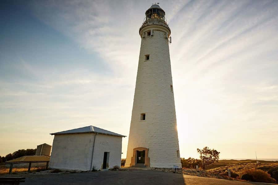 From Perth or Fremantle: Rottnest Island Ferry and Bus Tour - Comfort on Rottnest: Heat, Flies, and Getting Through the Day