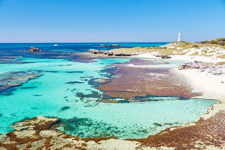 From Perth or Fremantle: Rottnest Island Ferry and Bus Tour - The Air-Conditioned Island Bus Tour: How the 1h45 Works