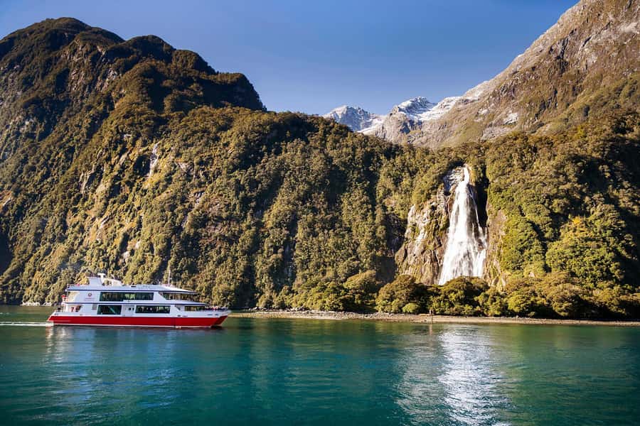 From Queenstown: Milford Sound Cruise & Scenic Coach Tour - Key Highlights Worth Waking Up For