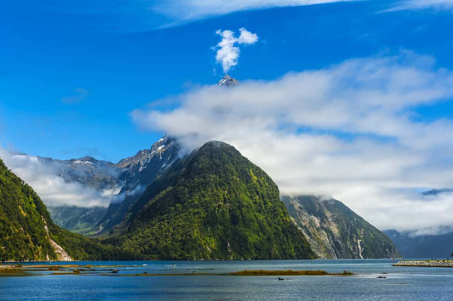 From Queenstown: Milford Sound Cruise & Scenic Coach Tour - Why Milford Sound Works as a One-Day Queenstown Trip