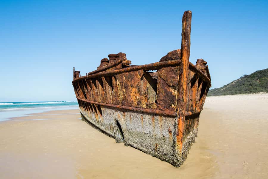 From Rainbow Beach: K'gari Fraser Island Full-Day Coach Tour - Wanggoolba Creek Boardwalk: Ferns and Ghost Gums Without the Sweat