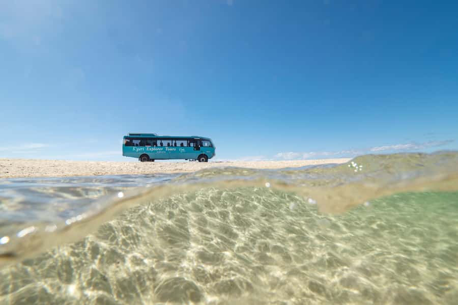 From Rainbow Beach: K'gari Fraser Island Full-Day Coach Tour - Central Station and the Pinnacles: Big Views, Short Windows