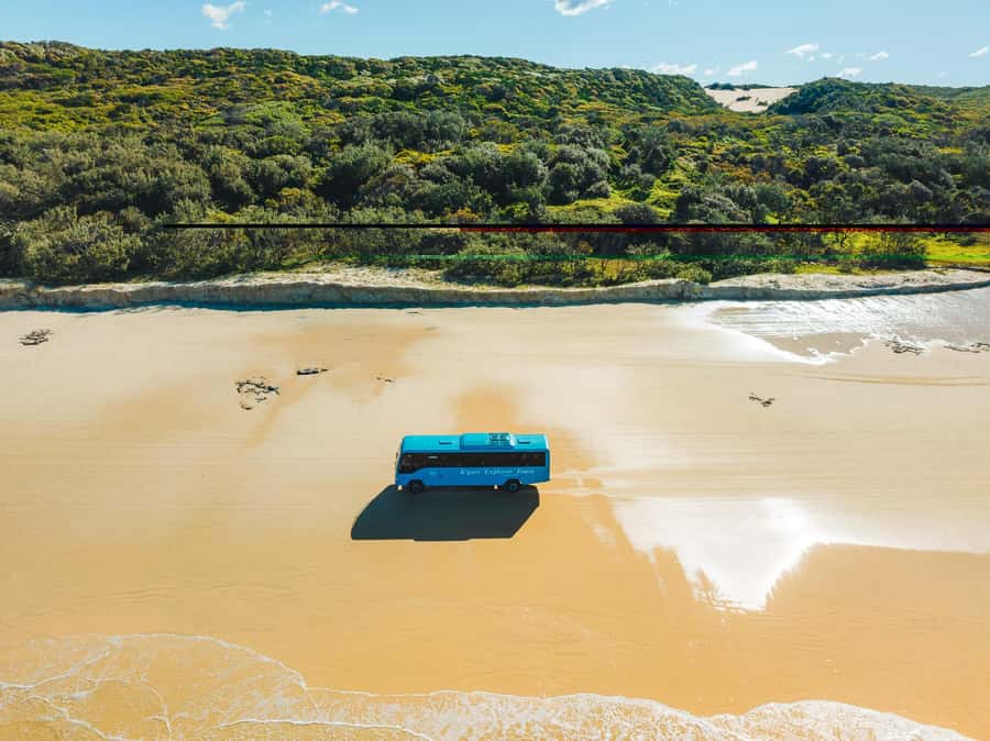 From Rainbow Beach: K'gari Fraser Island Full-Day Coach Tour - Eli Creek Float: Cooling Down the Right Way