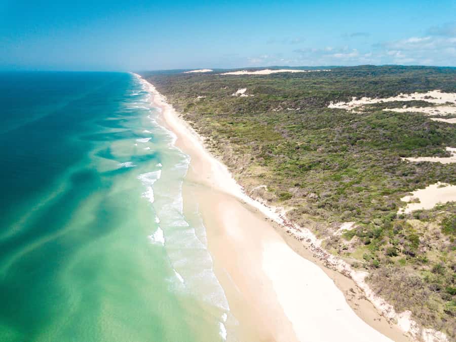 From Rainbow Beach: K'gari Fraser Island Full-Day Coach Tour - Lake McKenzie Swim Time: When the Water Is the Star