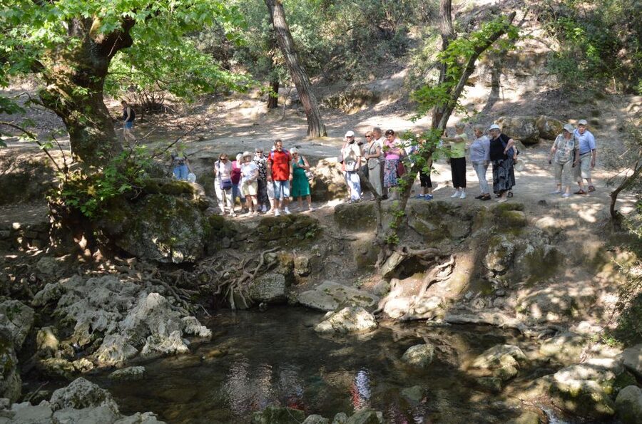 From Rhodes: Bus Tour to Lindos and the Seven Springs - Quick Takeaways