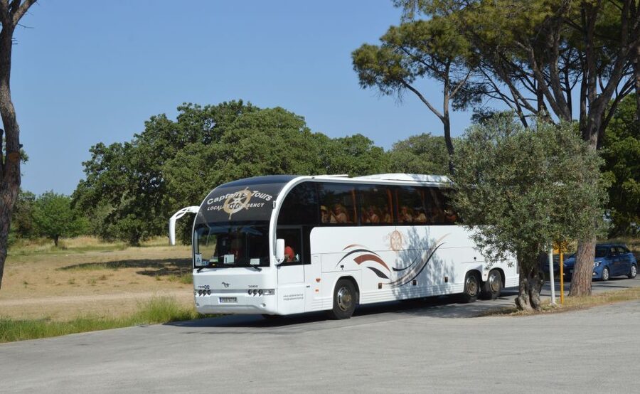 From Rhodes: Bus Tour to Lindos and the Seven Springs - Getting On The Bus: Comfortable, Timed, and Low-Stress