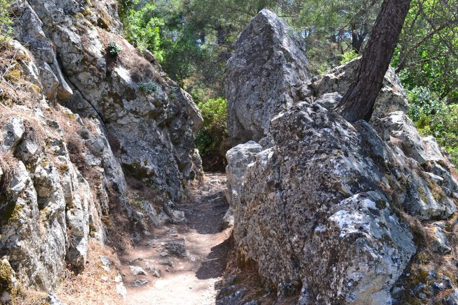 From Rhodes: Lindos and 7 Springs Valley Bus Tour - Who should book this Lindos and 7 Springs Valley day trip