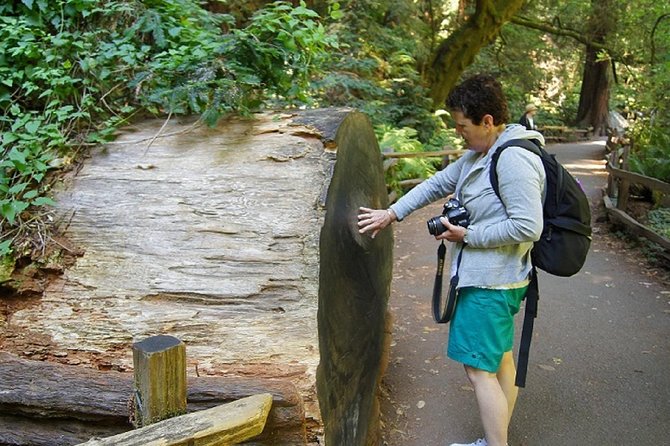 From San Francisco: Muir Woods Tour and Hop-on Hop-off City Tour - Hop-on Hop-off from Fisherman’s Wharf: Your Own City Time