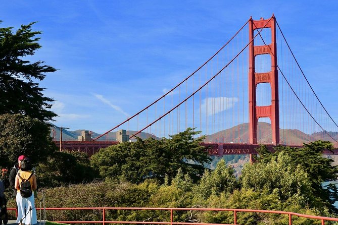From San Francisco: Muir Woods Tour and Hop-on Hop-off City Tour - Practical Stuff: What to Bring and What to Skip