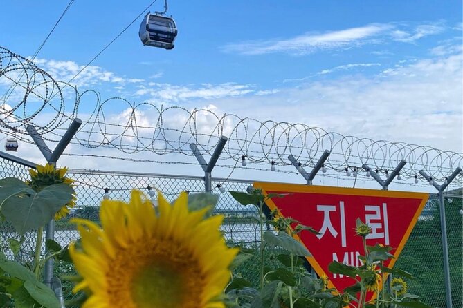 From Seoul: Cost-Benefit DMZ Shuttle Bus tour - Guide duo: why Han and Jo answer your questions