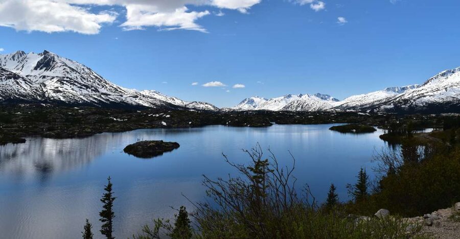 From Skagway: White Pass Summit Guided Bus Tour - Gold Rush Cemetery and Reid Falls: Where the History Makes the Waterfall Hit Harder