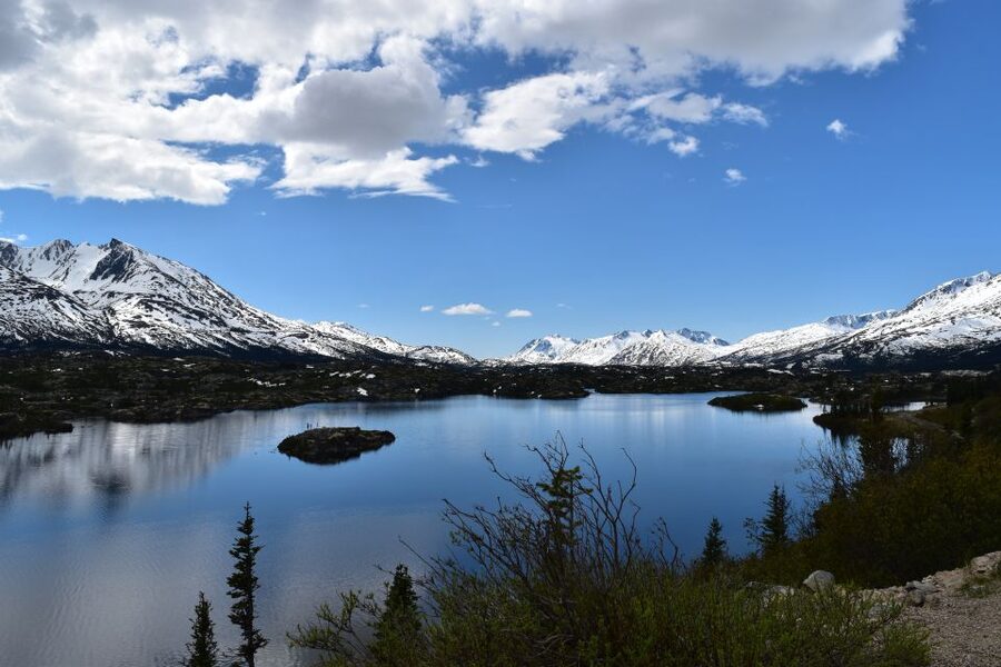 From Skagway: White Pass Summit Guided Bus Tour - Harding Glacier, Reed Falls, and the Wildlife Game Along the Route