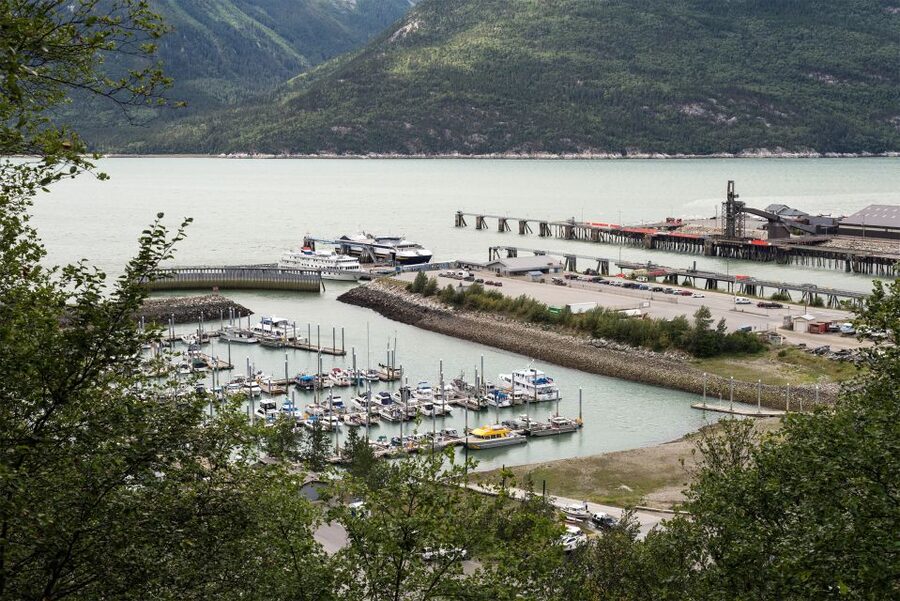 From Skagway: White Pass Summit Guided Bus Tour - Skagway Overlook and Ship Watching: Fjords, Peaks, and Cruise-Ship Timing