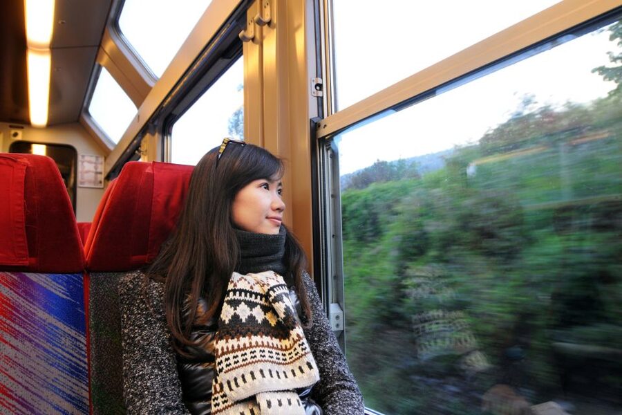 From Skagway: White Pass Summit Guided Bus Tour - Price and Value: What $60 Buys You Here