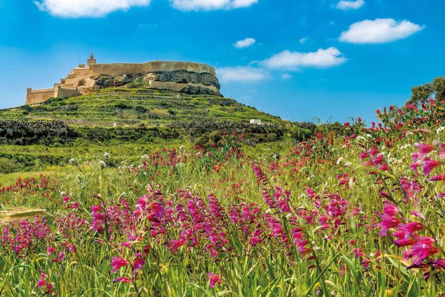 From Sliema: Gozo, Comino & The Blue Lagoon Boat & Bus Tour - Logistics That Can Make or Break Your Day
