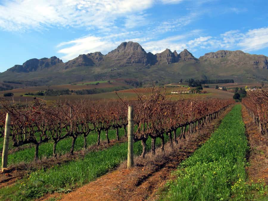 From Stellenbosch: Hop-On Hop-Off Wine Tour Southern Route - Key things to know before you plan your Southern Route day