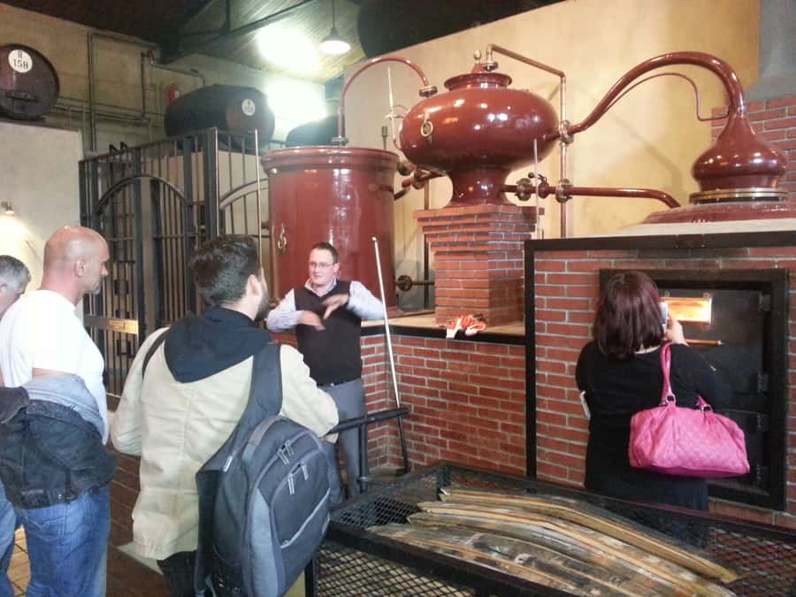 From Stellenbosch: Hop-On Hop-Off Wine Tour Southern Route - Why a hop-on hop-off wine bus works in Stellenbosch