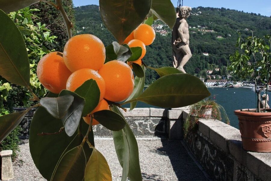 From Stresa: 2 Borromean Islands Hop-on Hop-off Boat Tour - Isola Bella: the palace, cave highlights, and Italian terraces