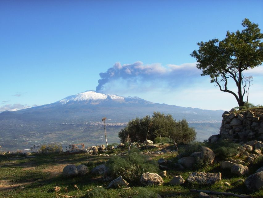 From Taormina: Mount Etna Guided Bus Tour - Second stop, viewpoints, and walking time