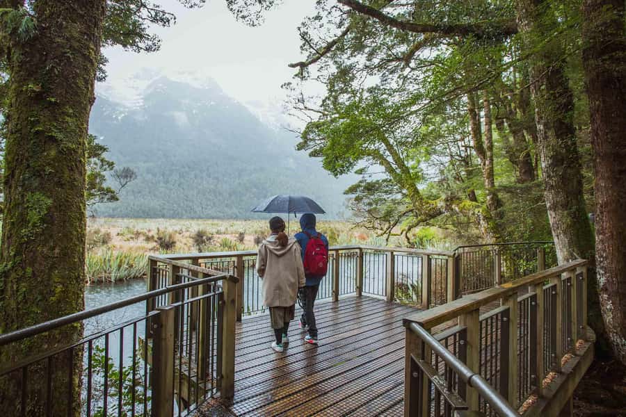 From Te Anau: Milford Sound Coach Tour and Cruise - Key highlights and where the magic happens