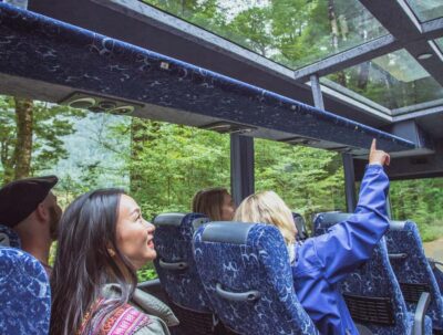From Te Anau: Milford Sound Coach Tour and Cruise - Fiordland National Park stops and short walks (not just window dressing)