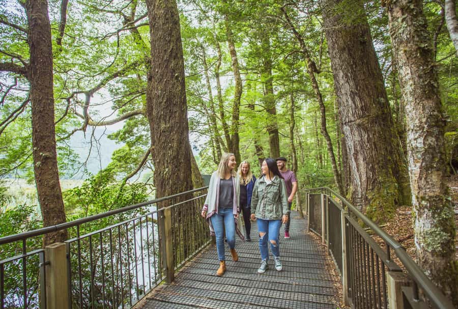 From Te Anau: Milford Sound Coach Tour and Cruise - Timing, crowds, and how to have a smoother cruise