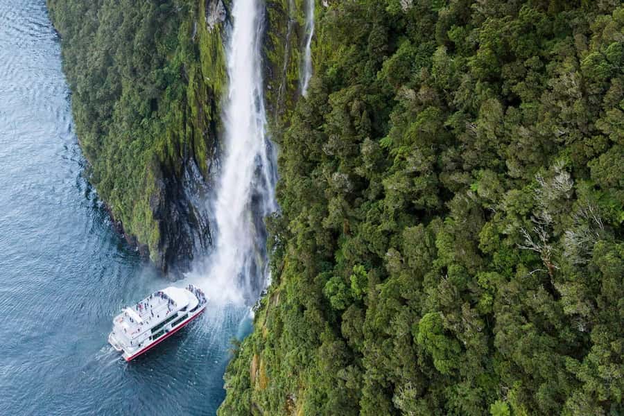 From Te Anau: Milford Sound Premium Bus Tour and Cruise - Key highlights in plain language