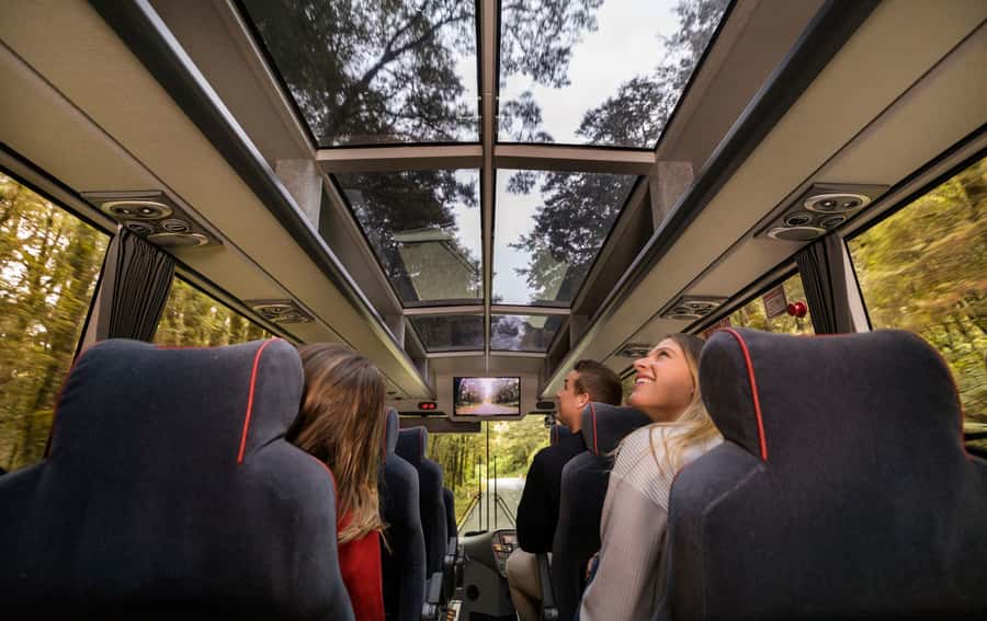 From Te Anau: Milford Sound Premium Bus Tour and Cruise - A one-day Milford Sound plan that actually feels easy