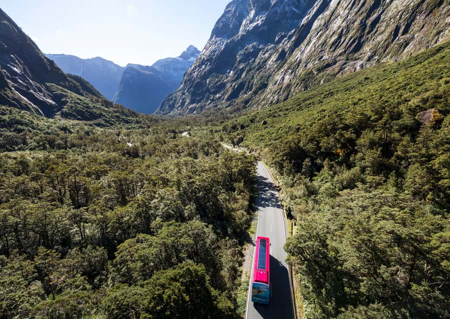 From Te Anau: Milford Sound Premium Bus Tour and Cruise - Wildlife spotting tips: what’s likely vs what’s seasonal