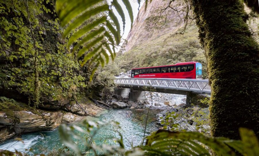 From Te Anau: Milford Sound Premium Bus Tour and Cruise - Price and value: what $140 buys you in real terms