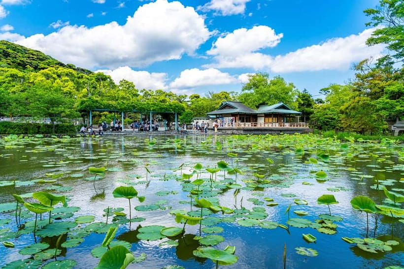 From Tokyo: Kamakura, Great Buddha, and Enoshima Bus Tour - Price and Value at $75: What You’re Actually Buying