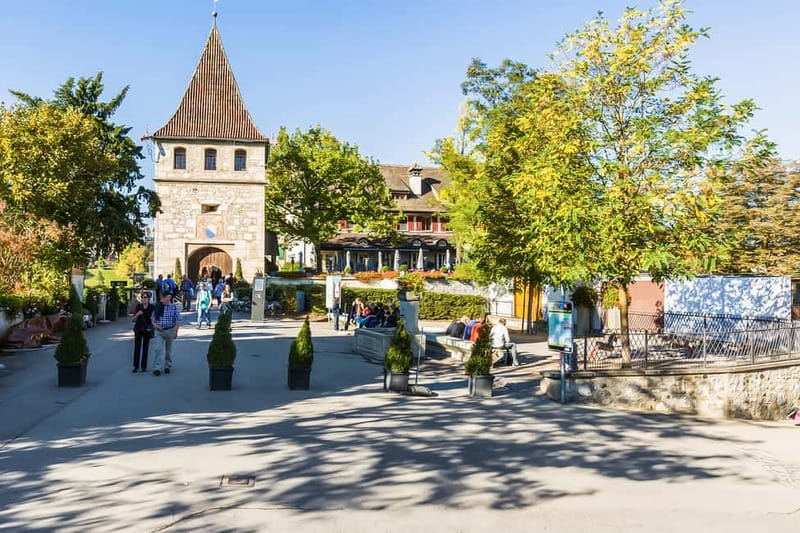 From Zurich: Rhine Falls Coach Tour - What the guides do well (names you’ll likely hear)
