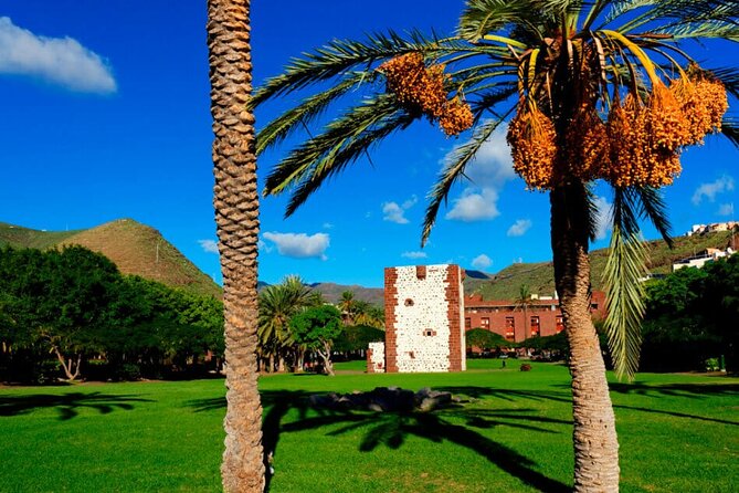 Full-day Bus Tour to La Gomera Island with Professional Guide - Ferry-and-bus rhythm from Tenerife (Los Cristianos)