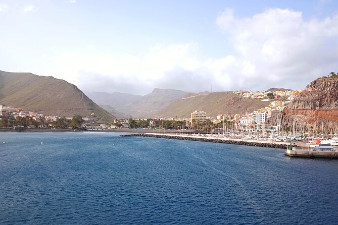 Full-day Bus Tour to La Gomera Island with Professional Guide - Garajonay National Park: cloud forest time and why it matters
