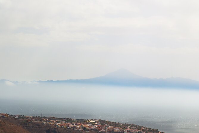 Full-day Bus Tour to La Gomera Island with Professional Guide - Guides, group size, and language: where the day can soar or stumble