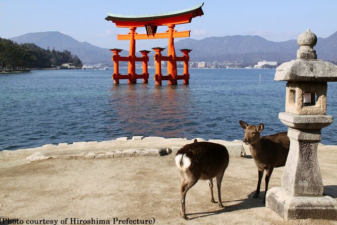 Full Day Hiroshima and Miyajima Bus Tour from Hiroshima - Transportation Comfort and Timing: Why It Feels Smooth (and When It Doesn’t)