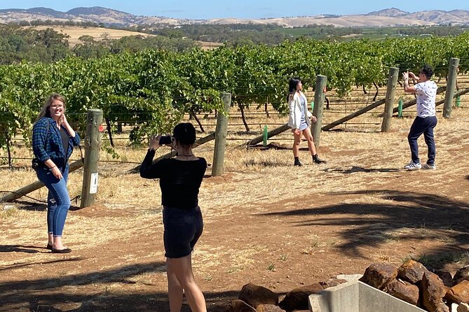 Full-Day Private Barossa Valley Wine Bus Tour - Practical expectations for the day (so nothing surprises you)