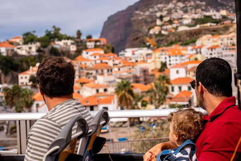 Funchal:Hop-on Hop-off Bus & Whale & Dolphin boat Excursion - Catamaran check-in and your whale-and-dolphin game plan
