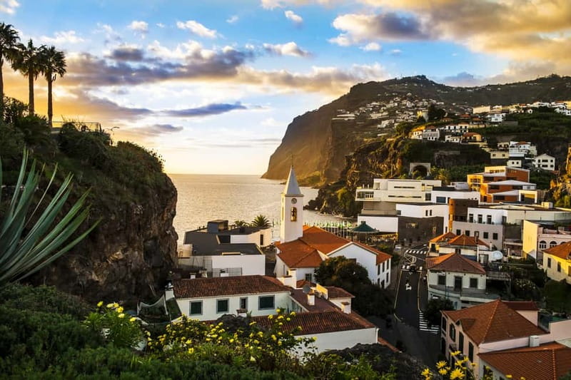 Funchal:Hop-on Hop-off Bus & Whale & Dolphin boat Excursion - Should you book this Funchal bus and whale-dolphin day combo?