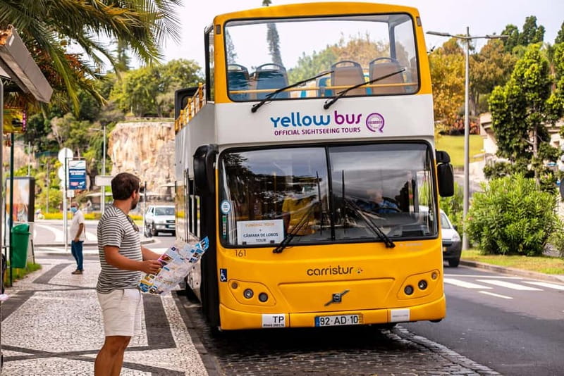 Funchal:Hop-on Hop-off Bus & Whale & Dolphin boat Excursion - The 48-hour hop-on hop-off bus: how to use it well